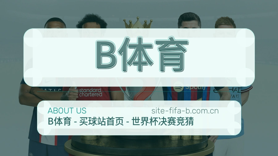 B体育服务说明
